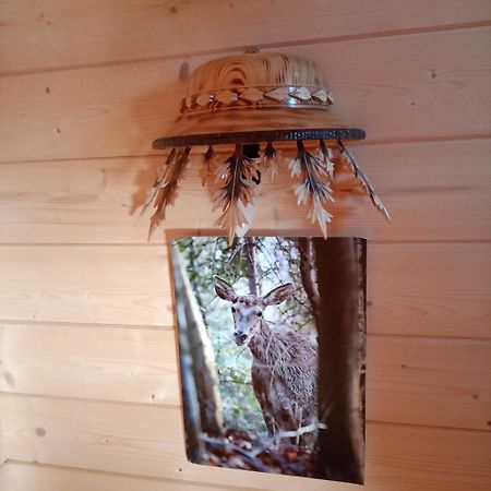 Domek na farmie Szaflary Zewnętrze zdjęcie